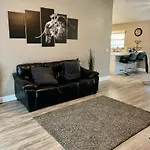 Cozy 3 Bedroom Home Close To Everything In Tampa!
